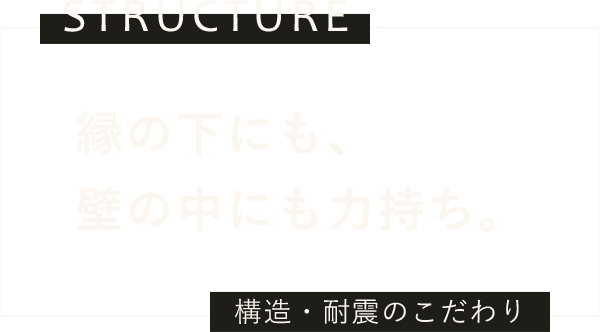 縁の下にも壁の中にも力持ち